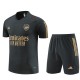 Arsenal FC Treenipaita Suits 2023-24 - Harmaa