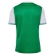 AS Saint-Étienne Kotipelipaita 2025-26 Jalkapallo Pelipaidat Peliasut