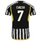 Juventus FC Chiesa 7 Kotipelipaita 2023-24 Jalkapallo Pelipaidat Peliasut