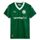 Palmeiras Kotipelipaita 2025-26 Jalkapallo Pelipaidat Peliasut