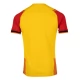 RC Lens Kotipelipaita 2023-24 Jalkapallo Pelipaidat Peliasut