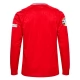Tanska Kotipelipaita EM 2024 Jalkapallo Pelipaidat Peliasut(L/S) Patch