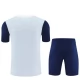 Tottenham Hotspur FC Treenipaita Setti 2025-26 - Shorts Harmaa