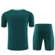 Tottenham Hotspur FC Treenipaita Suits 2024-25 - Shorts Vihreä