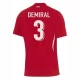 Turkki Demiral 3 Vieraspelipaita EM 2024 Jalkapallo Pelipaidat Peliasut