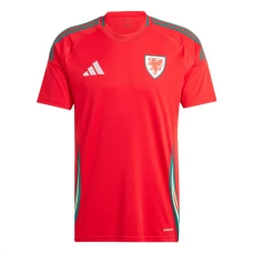 Wales Kotipelipaita 2024 Jalkapallo Pelipaidat Peliasut