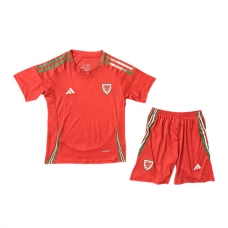 Wales Lasten Kotipelipaita 2024 Jalkapallo Pelipaidat Peliasut